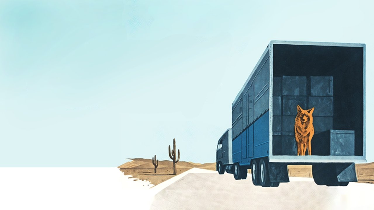 A Country Coyote Goes Hollywood