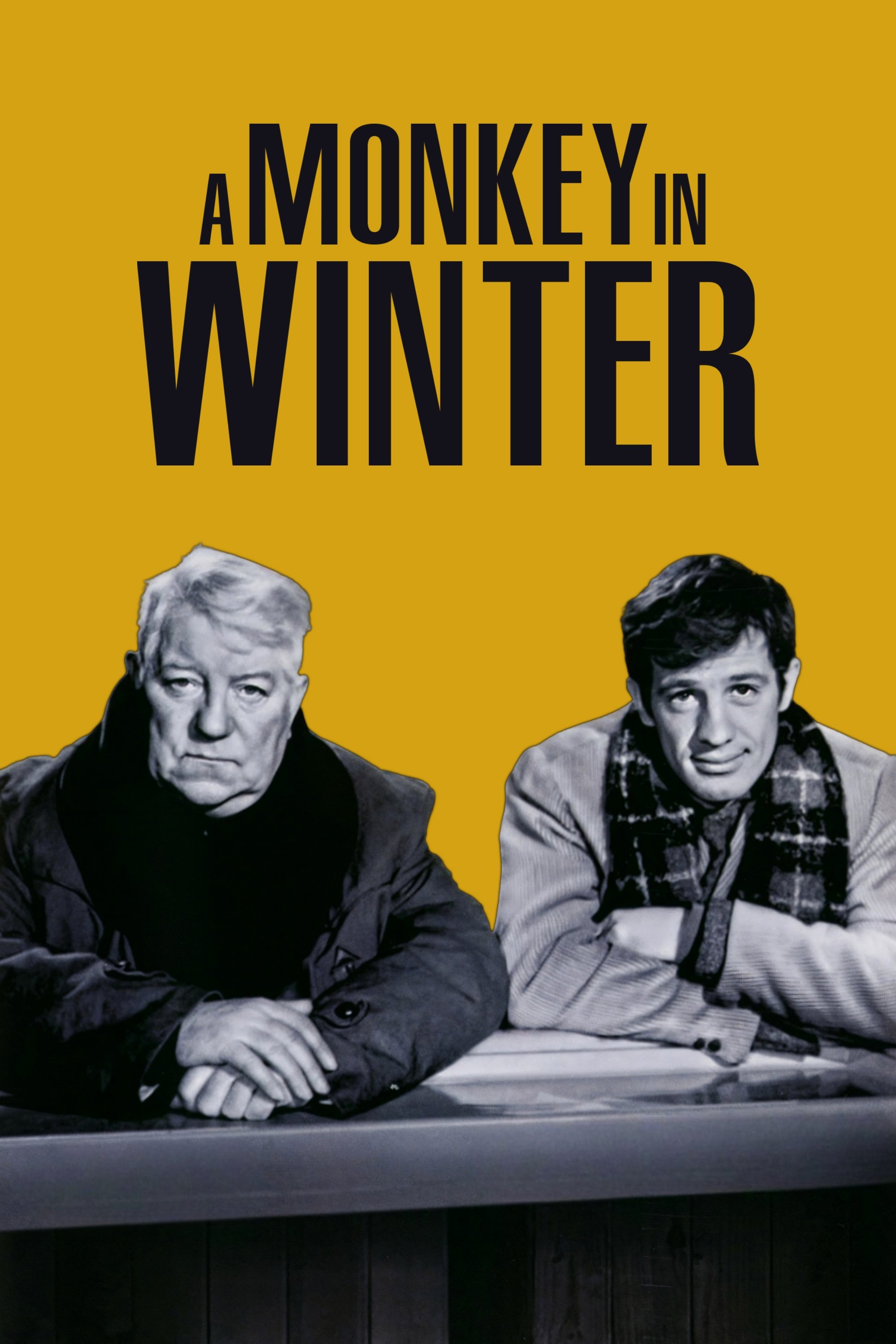 A Monkey in Winter poster