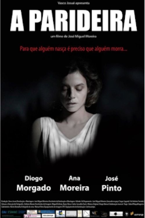 A Parideira poster