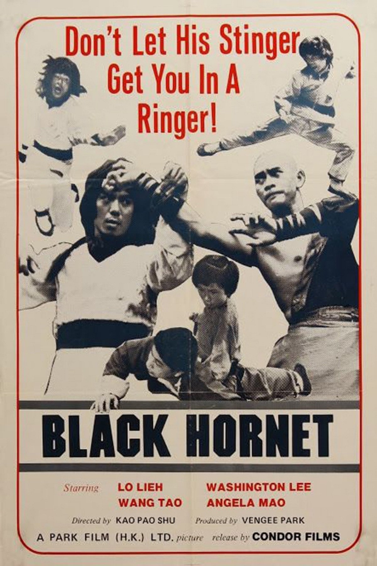 Black Hornet poster