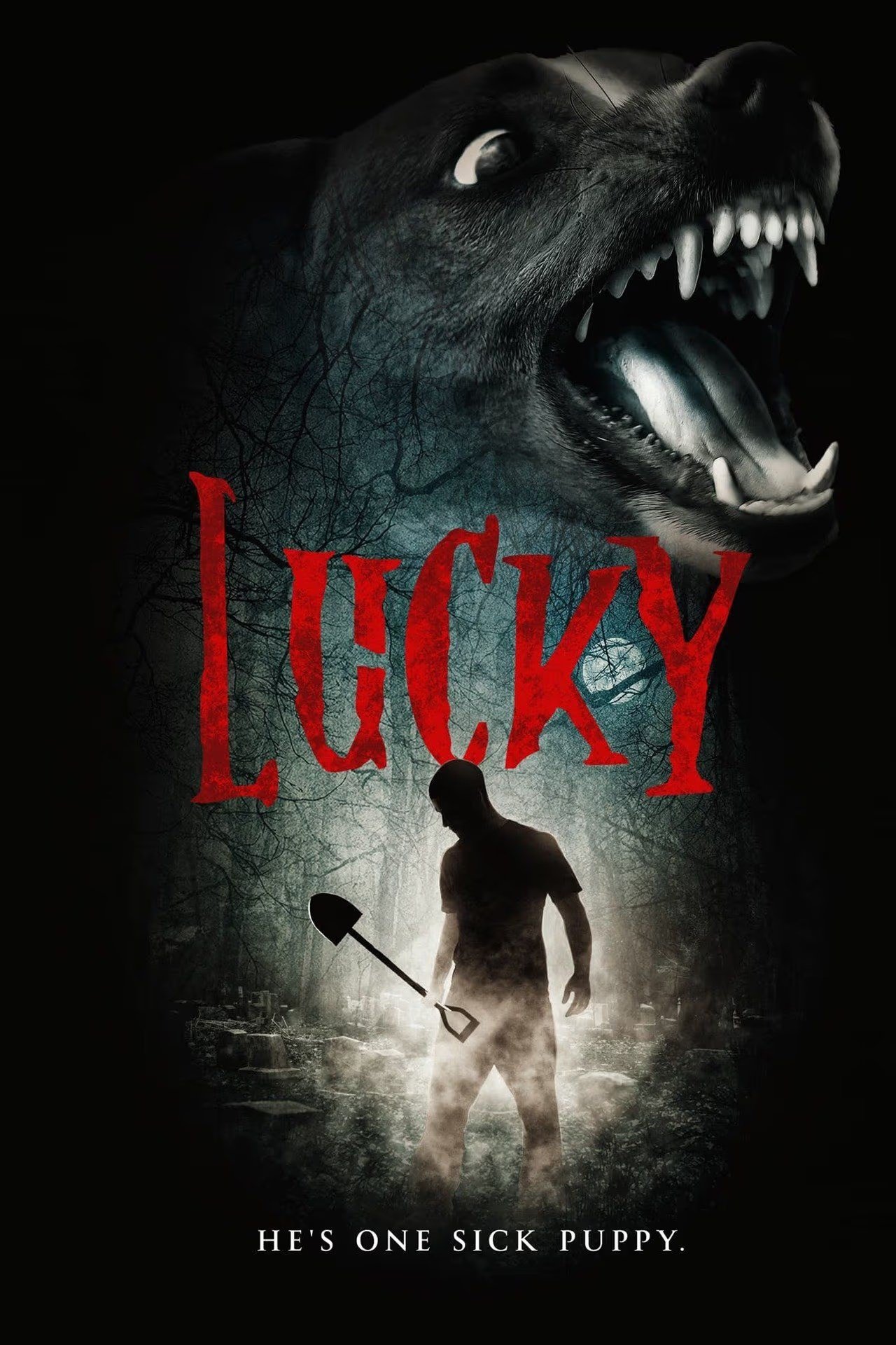 Lucky poster