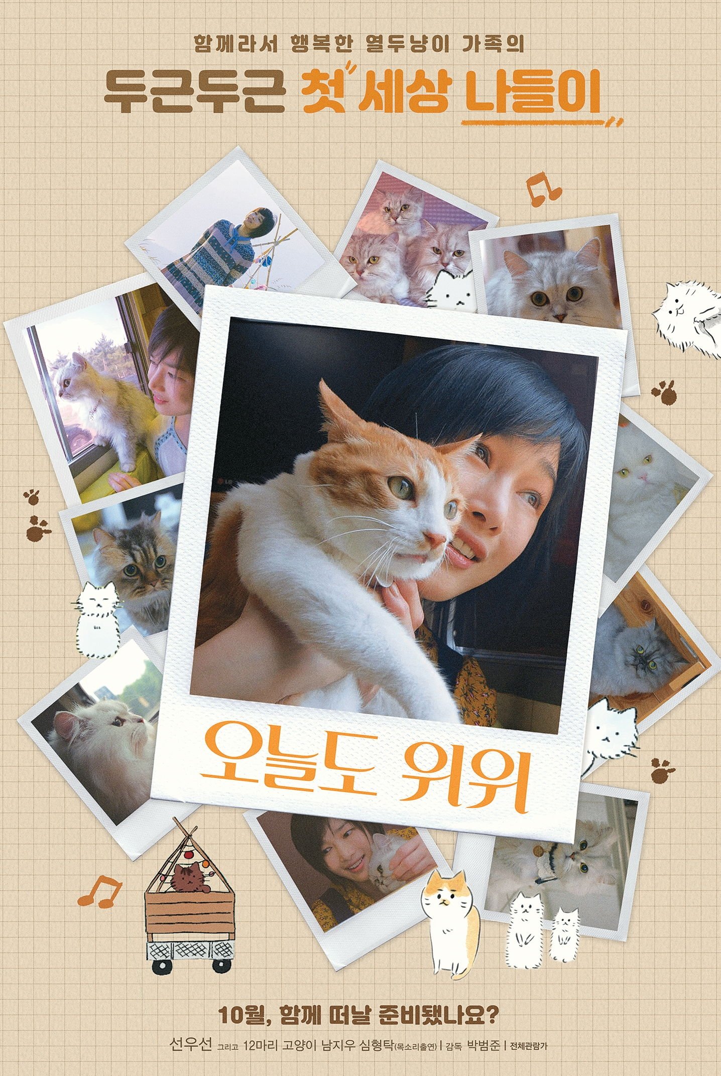 The Journey of the 12 Cats poster