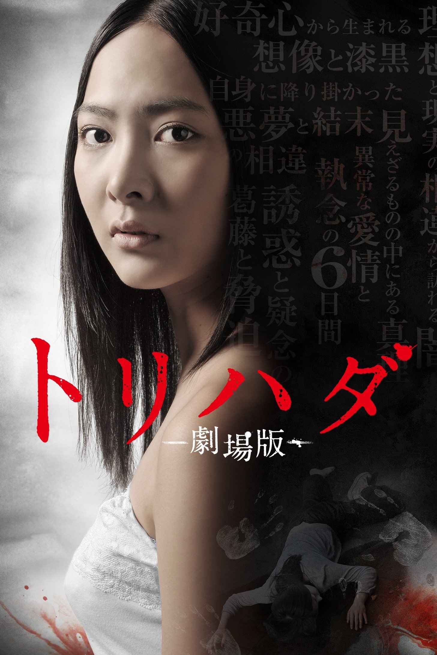 Torihada: The Movie poster